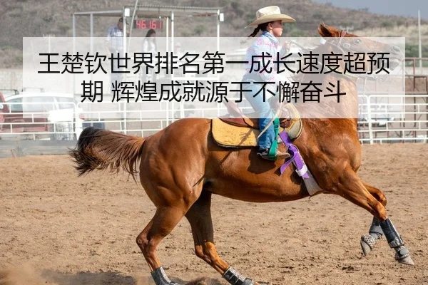 王楚钦世界排名第一成长速度超预期 辉煌成就源于不懈奋斗